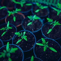 Ambiental e Saneamento
